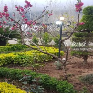 اجاره تنها ویلای استخردار در نمک آبرود