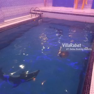 اجاره ویلا استخر دار سرخرود