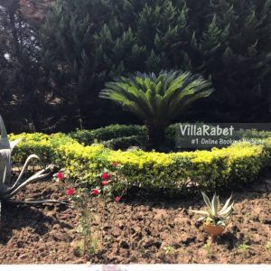 اجاره ویلا استخردار جنگلی در نزدیکی نمک آبرود