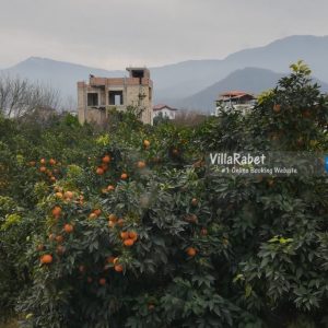 اجاره ویلا استخردار جنگلی کیله کنار