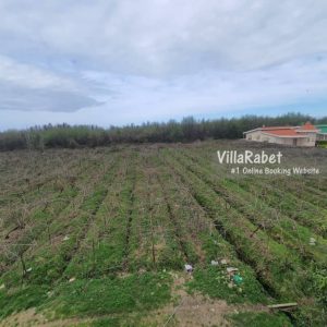 اجاره ویلا استخردار سه خوابه در تیلورسر متل قو