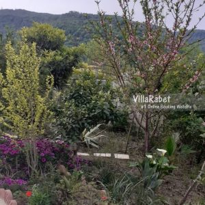 اجاره ویلا استخرروباز جنگلی در نوشهر