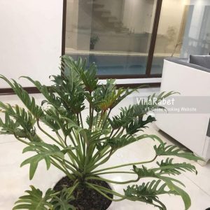 اجاره ویلا دوخوابه ساحلی استخردار چالوس