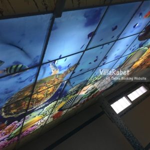 اجاره ویلا سه خواب استخردار دوبلکس نورسر