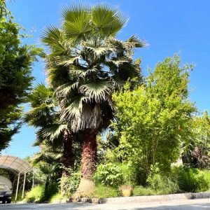 اجاره ویلا سه خوابه استخردار دریاگوشه متل قو