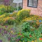 اجاره ویلا نزدیک ساحل گیسوم و آبشار ویسادار