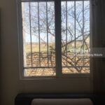 اجاره ویلا یک خوابه علی آباد کتول جنگل کبودال