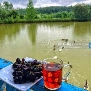 اجاره ویلای آب در رشت