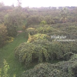 اجاره ویلای استخردار با بیلیارد و سه خواب در چالوس