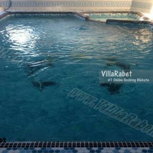 اجاره ویلای استخردار با طراحی متفاوت در نوشهر