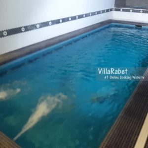 اجاره ویلای استخردار نزدیکی نمک آبرود