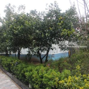 اجاره ویلای استخردار چهار خوابه با ویوی نمک آبرود