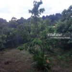 اجاره ویلای تک خوابه حوریا تالش