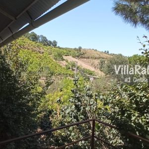 اجاره ویلای جنگلی بلوط در بهشهر