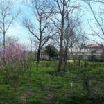 اجاره ویلای دربستی در شاندرمن ماسال