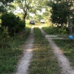 اجاره ویلای دربستی در شاندرمن ماسال