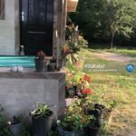اجاره ویلای دربستی در شاندرمن ماسال