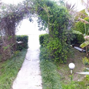 اجاره ویلای لوکس ساحلی استخردار در نوشهر