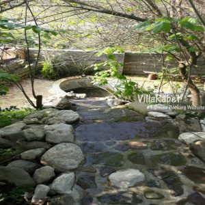 اجاره کلبه جنگلی درختی در کلارآباد