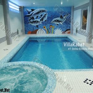 رزرو ویلای استخردار سه خوابه لوکس محمودآباد