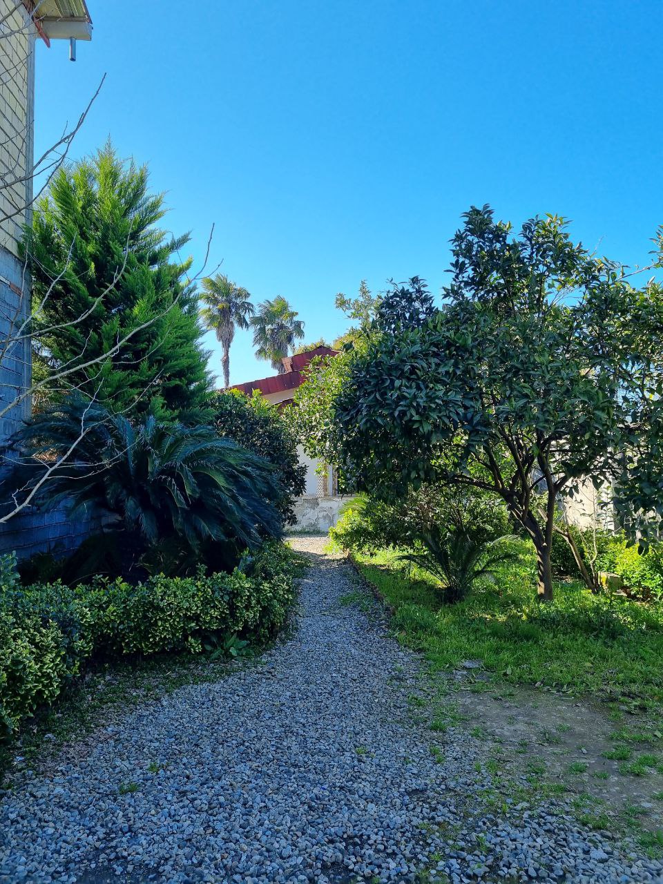 اجاره ویلای الماس در متل قو