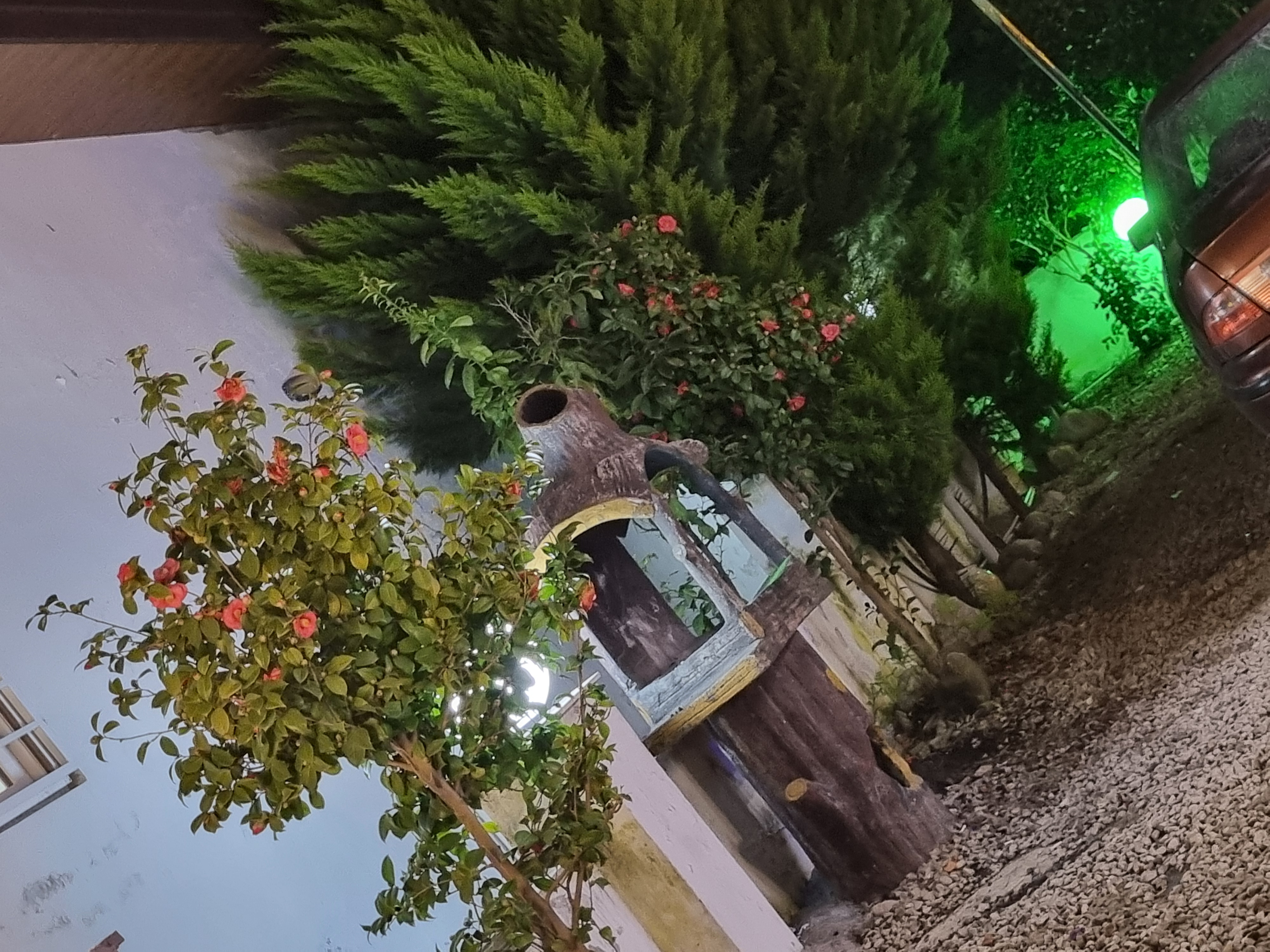 اجاره ویلا الماس قو